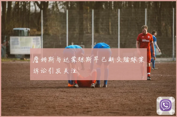 詹姆斯与达蒙琼斯早已断交赌球案诉讼引发关注